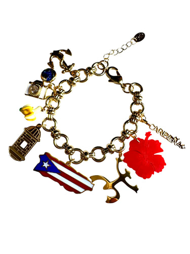 Bori Brazalete 2.0